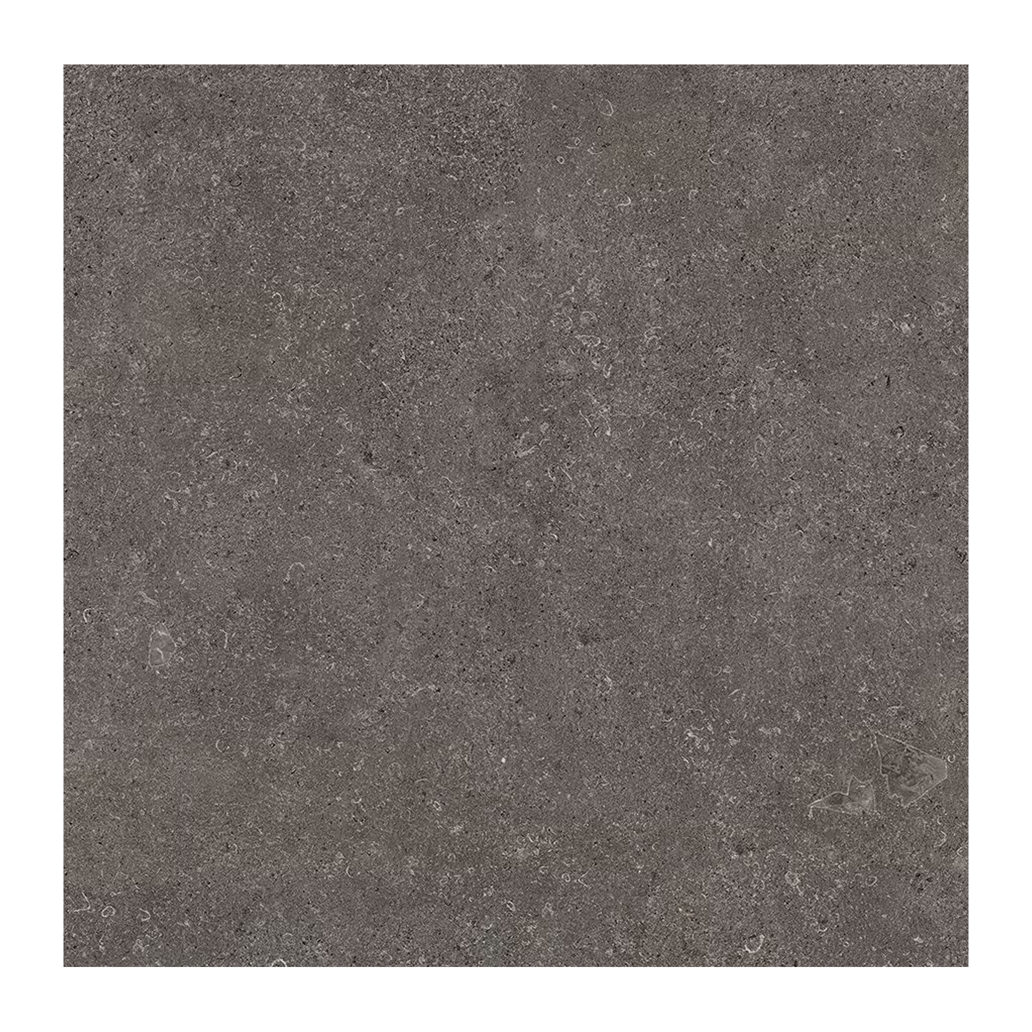 MaPierre 48x48" - 9.5mm Stone-Look Porcelain Tile