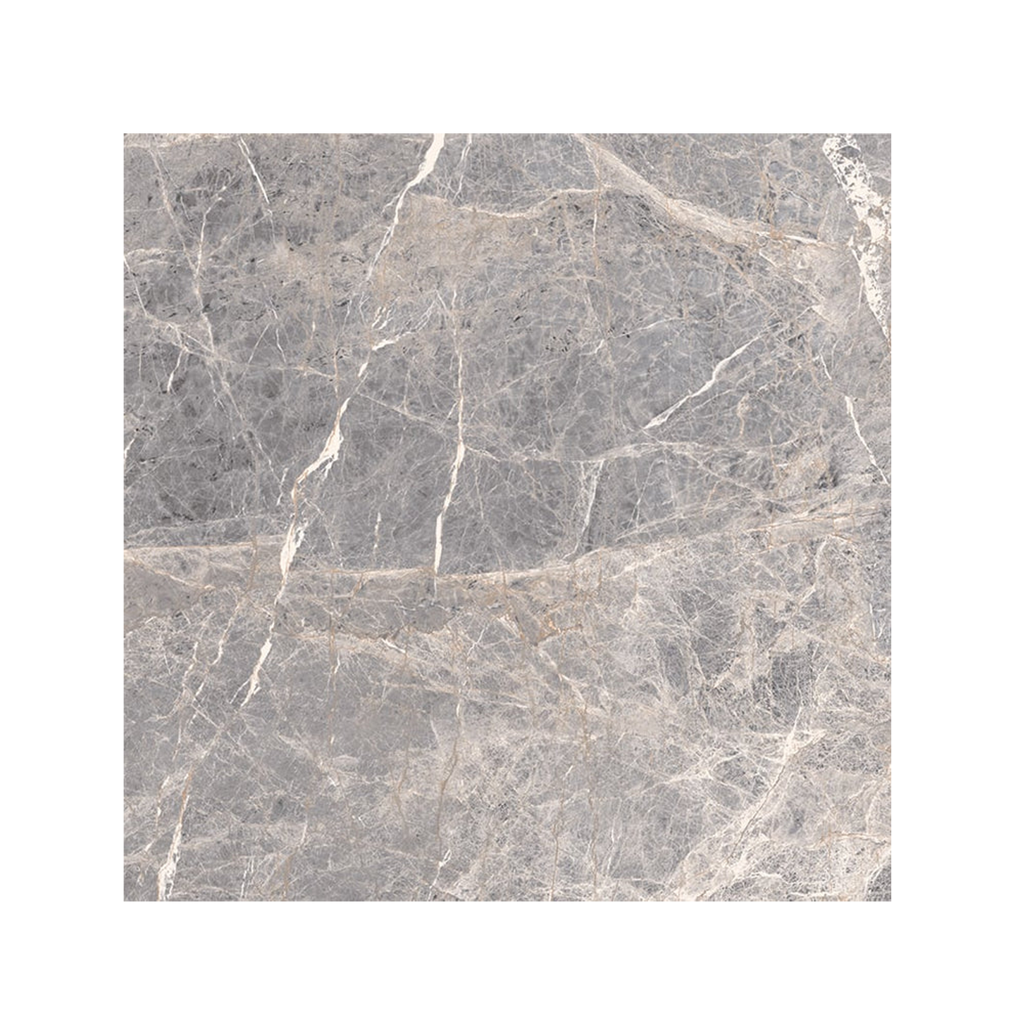 Epic 24x24" - 8mm Matte Porcelain Tile