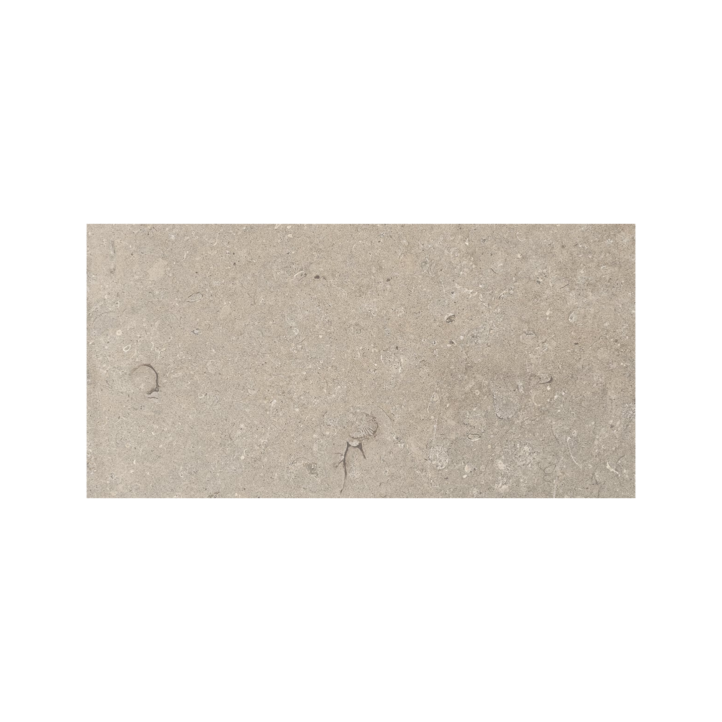 Lith 12x24" - 20mm Grip Porcelain Paver Tile in Stone-Look