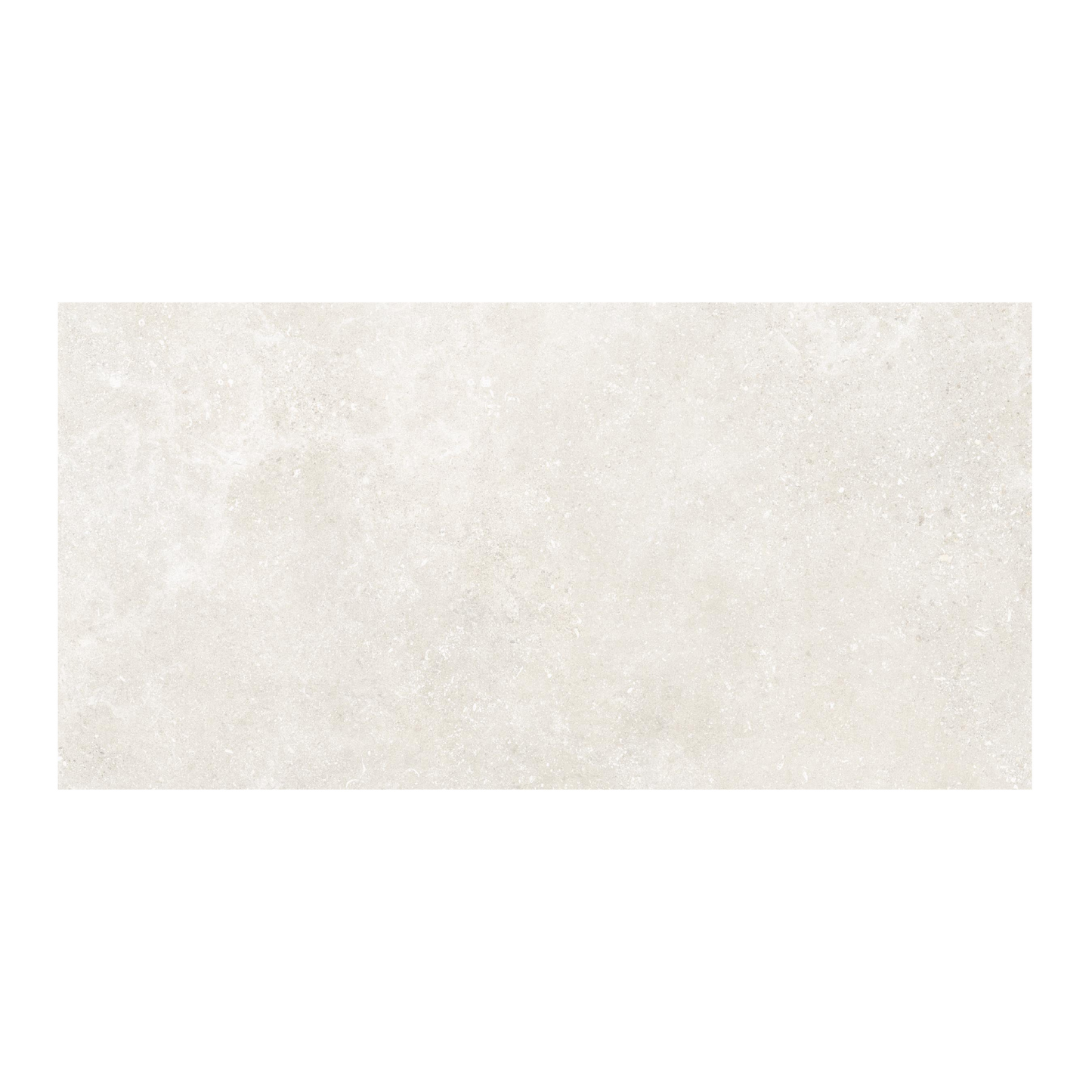 Untamed 24x48" - 8mm Matte Porcelain Floor & Wall Tile in Stone-Look