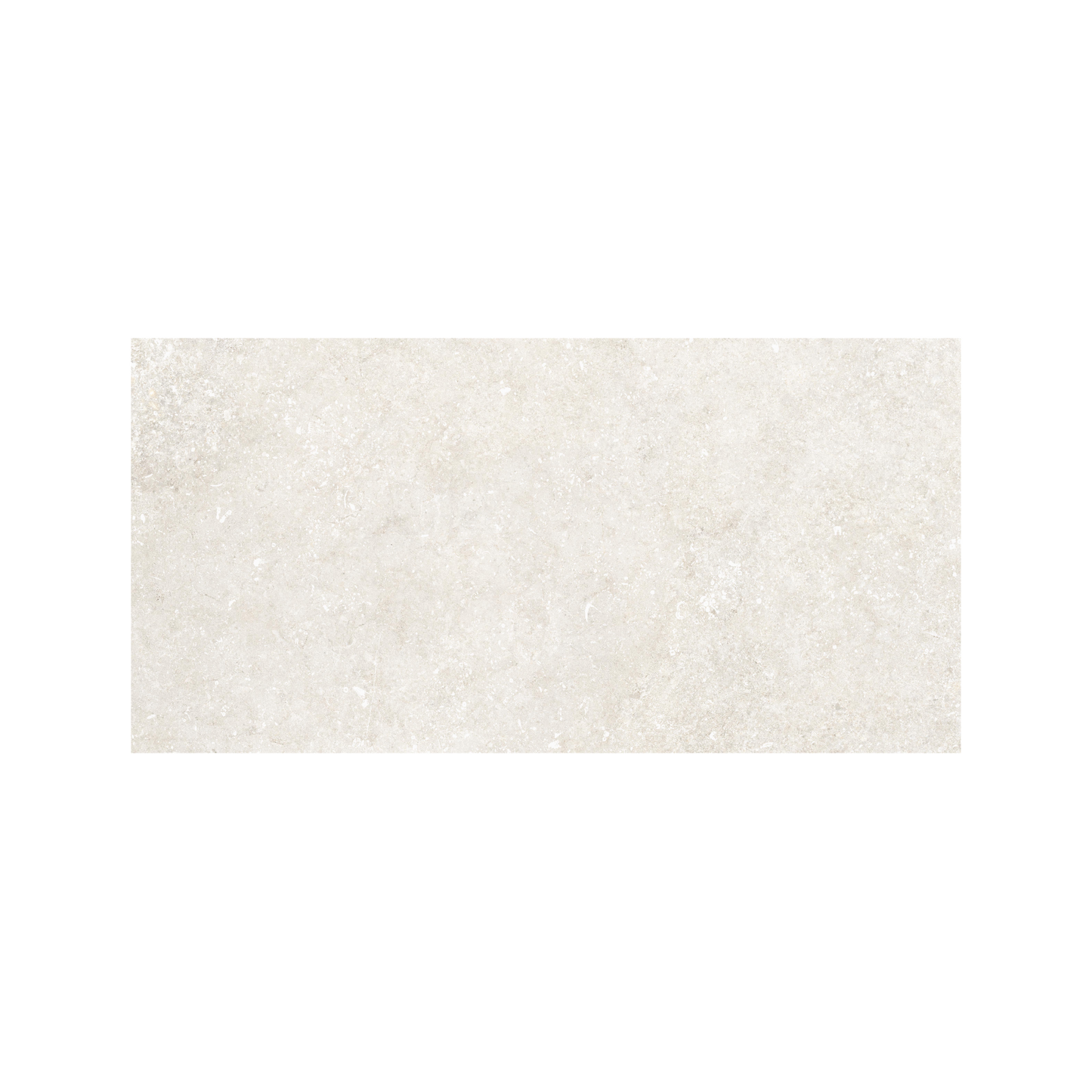 Untamed 12x24" - 8mm Matte Porcelain Floor & Wall Tile in Stone-Look
