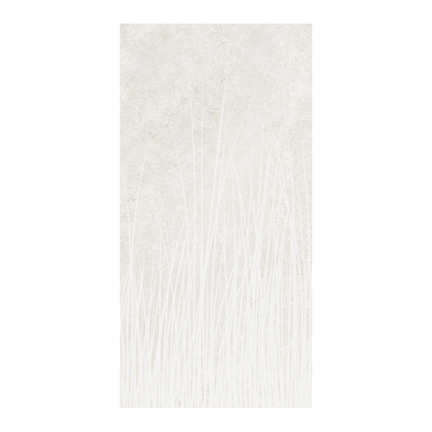 Untamed 24x48" - 8mm Matte Decorative Porcelain Tile in Cement-Look