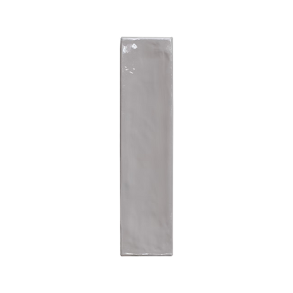 Totalook 2.5x10" - 9.5mm Porcelain Subway Tile