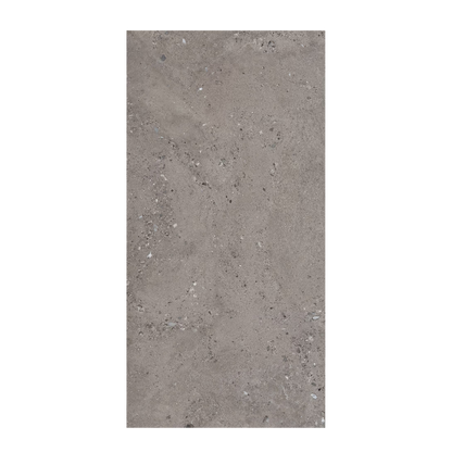 Shellstone - 24x48" - 9.5mm Fondo Porcelain Tile