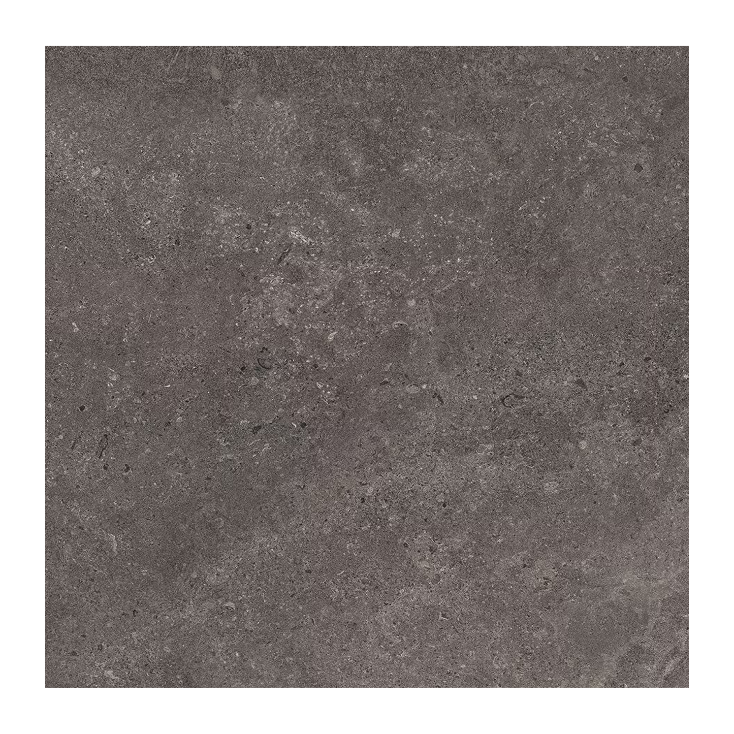 MaPierre 48x48" - 9.5mm Stone-Look Porcelain Tile