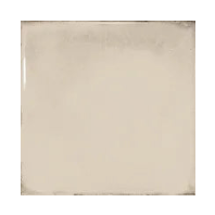 Splendours 6"x6" - Glazed Ceramic Wall Tile - Subway Tile