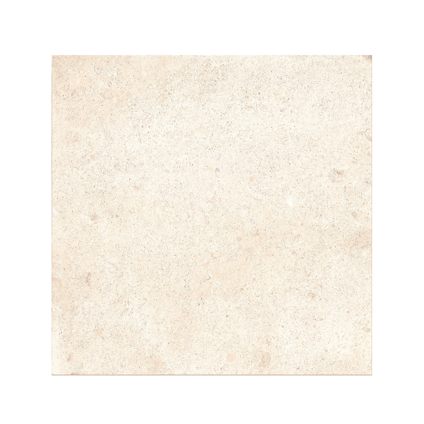 Outdoor Earth - 20mm Porcelain Paver in Stone-Look Style