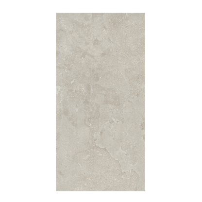 EcoStone 24x48" - 8mm Matte Porcelain Tile