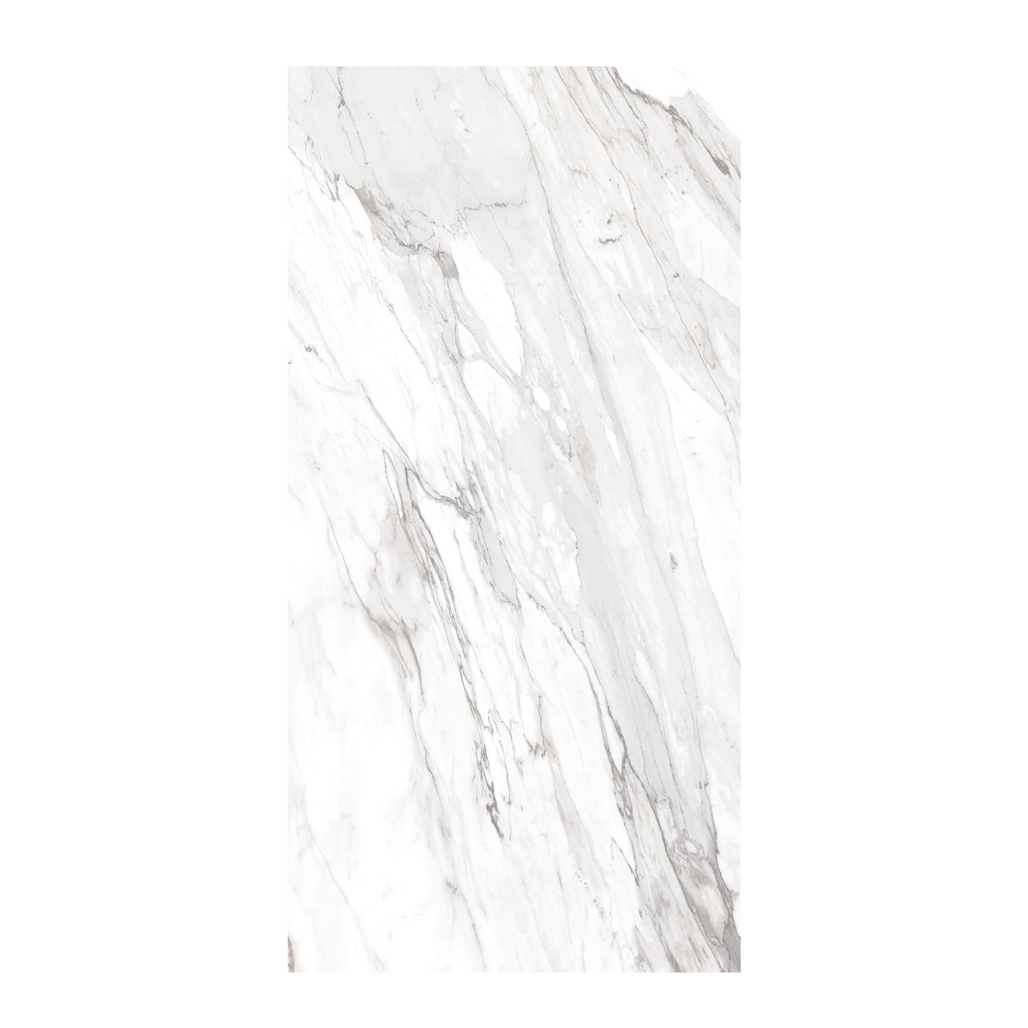 Epic 24x48" - 8mm Matte Porcelain Tile