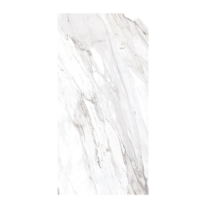 Epic 24x48" - 8mm Matte Porcelain Tile