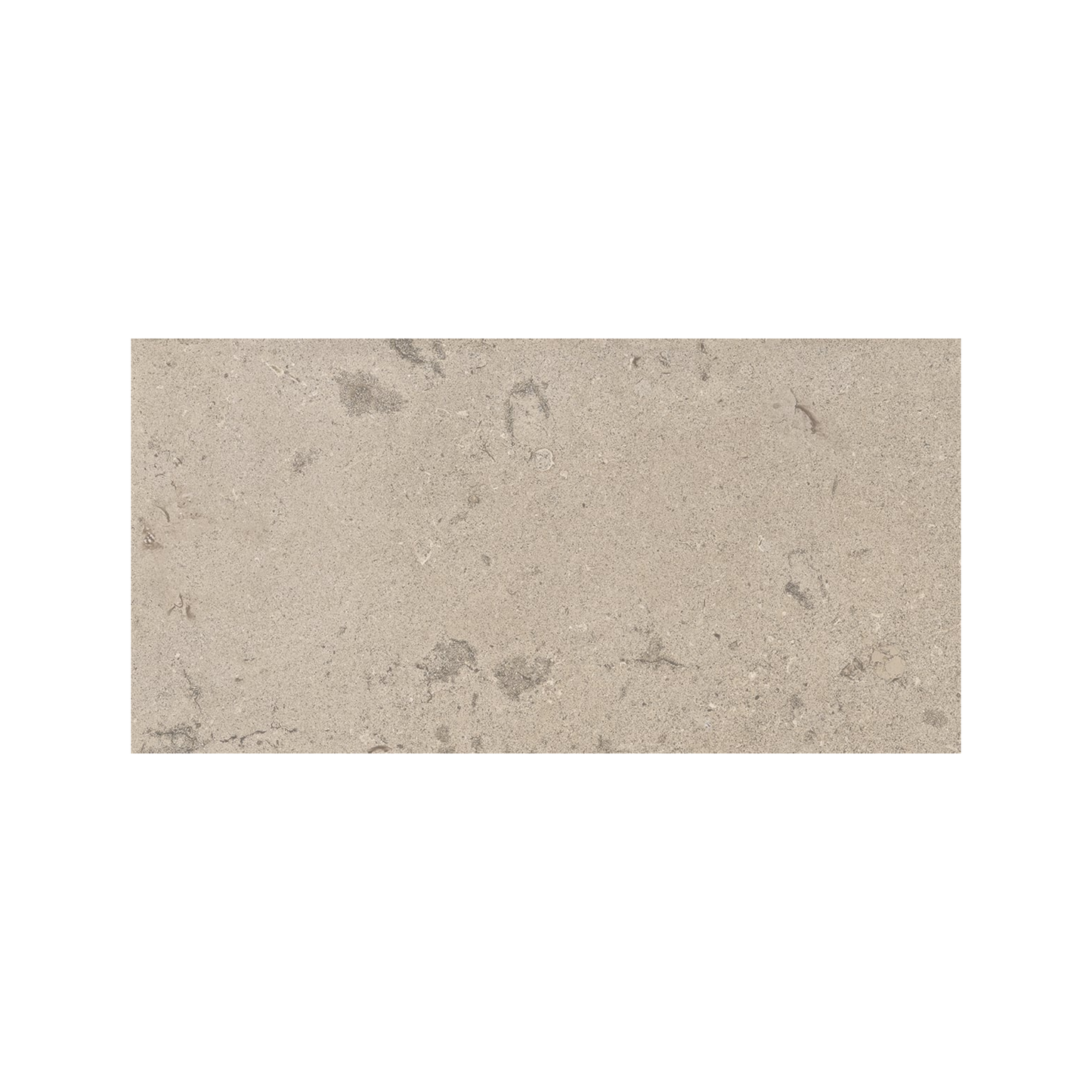 Lith 12x24" - 8mm Porcelain Floor & Wall Tile in Stone-Look