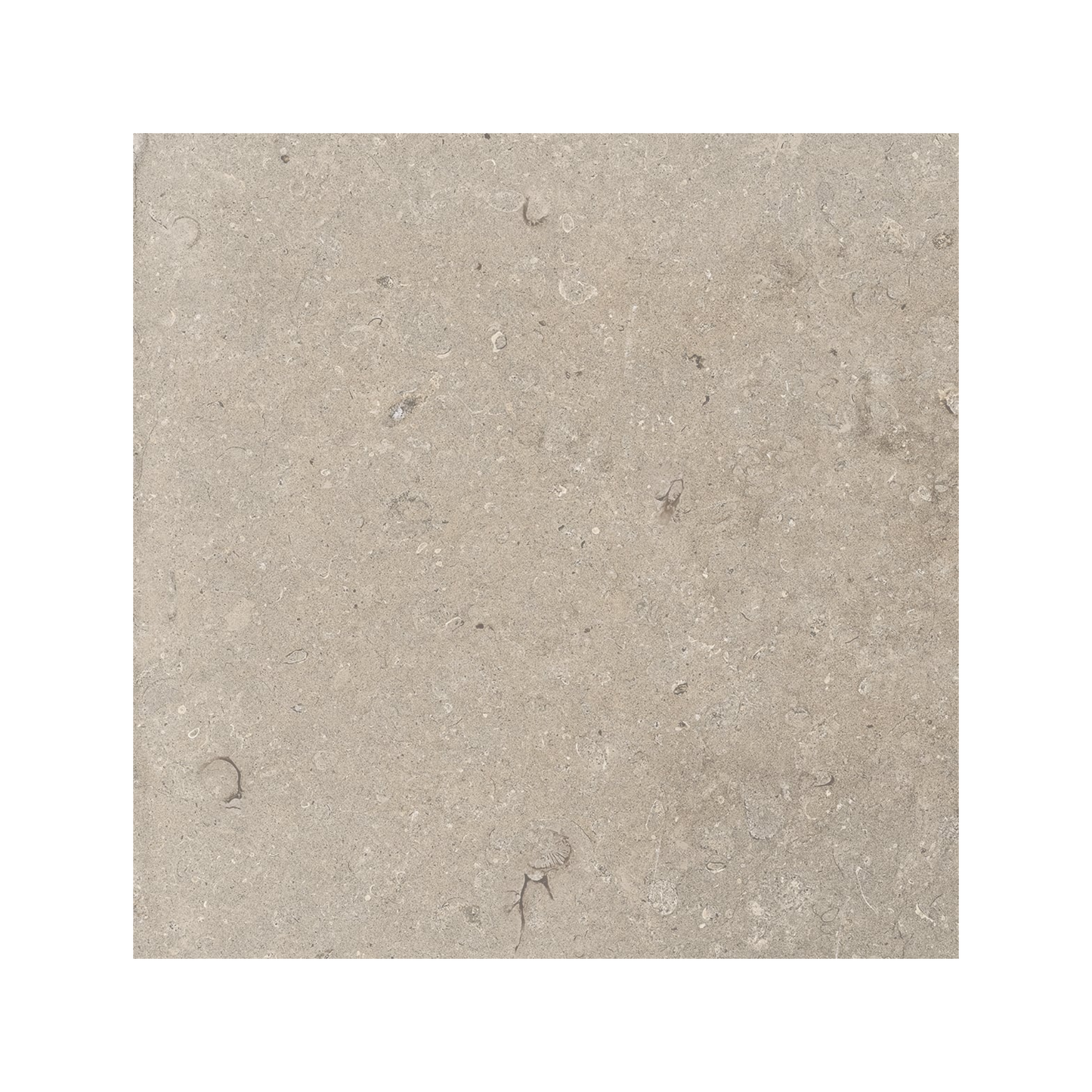 Lith 24x24" - 20mm Grip Porcelain Paver Tile in Stone-Look