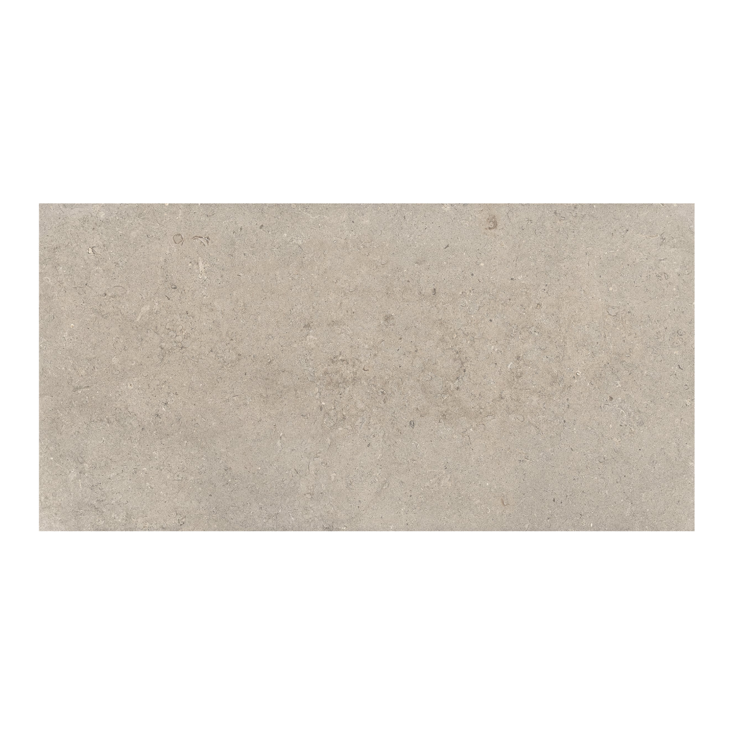 Lith 24x48" - 8mm Porcelain Floor & Wall Tile in Stone-Look