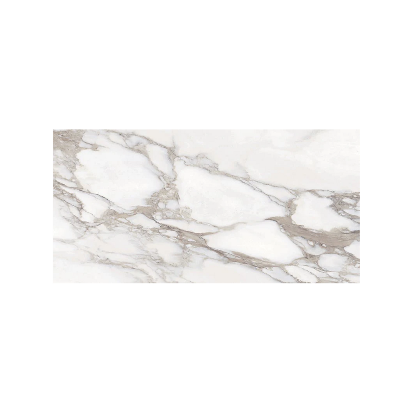 Classica - 12x24" Matte Porcelain Tile in Marble-Look Style
