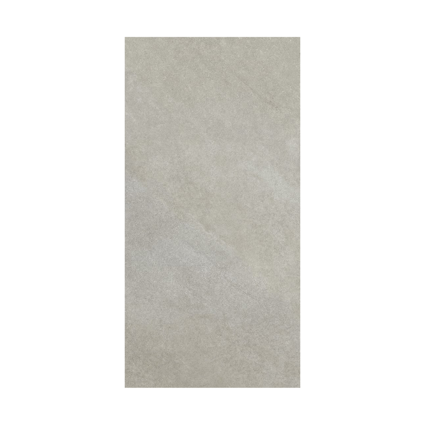 Tycoon 16x32" - 8mm Matte Porcelain Floor & Wall Tile in Stone-Look