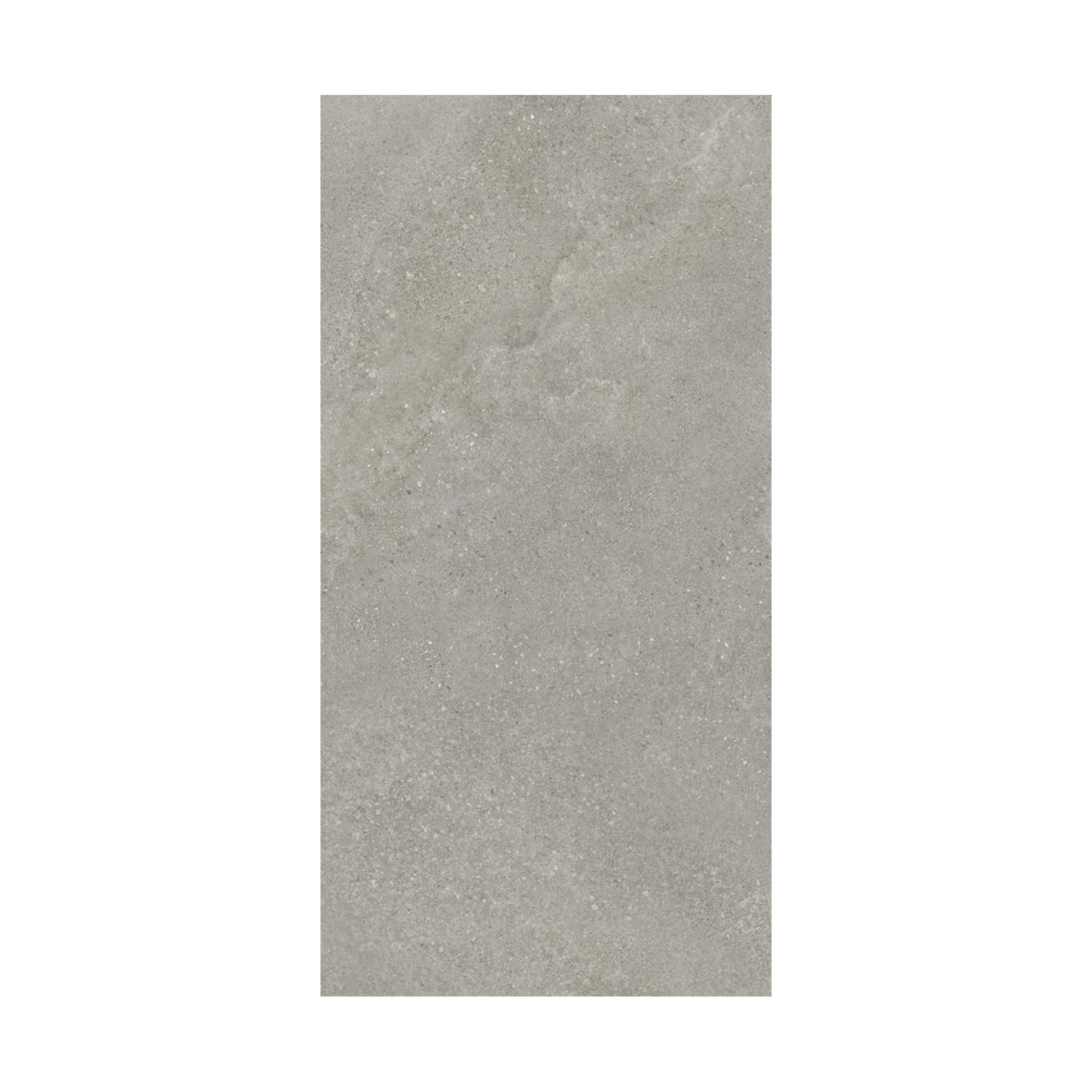 Tycoon 16x32" - 8mm Matte Porcelain Floor & Wall Tile in Stone-Look
