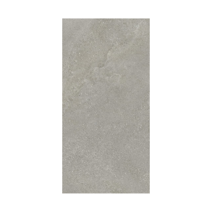 Tycoon 16x32" - 8mm Matte Porcelain Floor & Wall Tile in Stone-Look