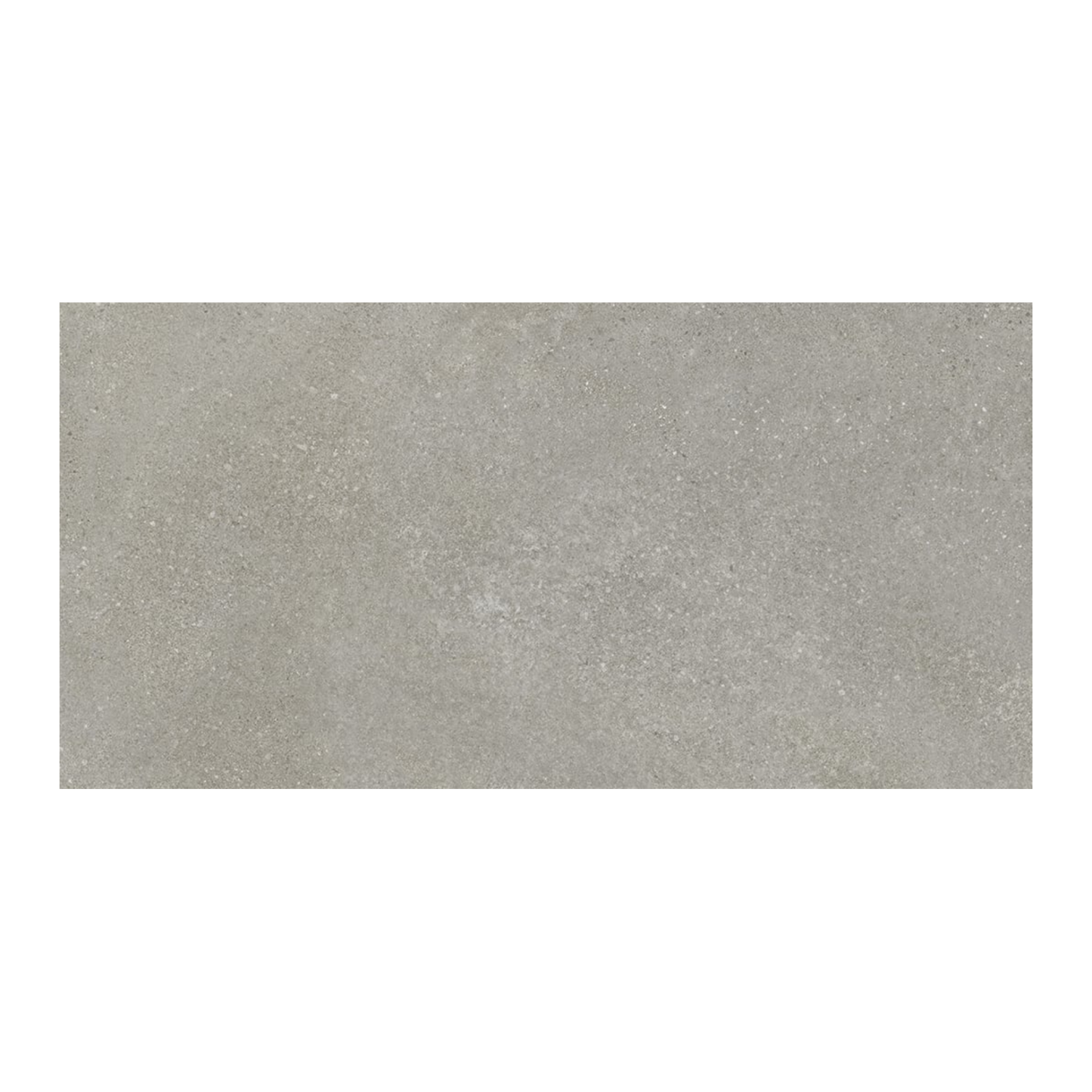 Tycoon 24x48" - 8mm Matte Porcelain Floor & Wall Tile in Stone-Look