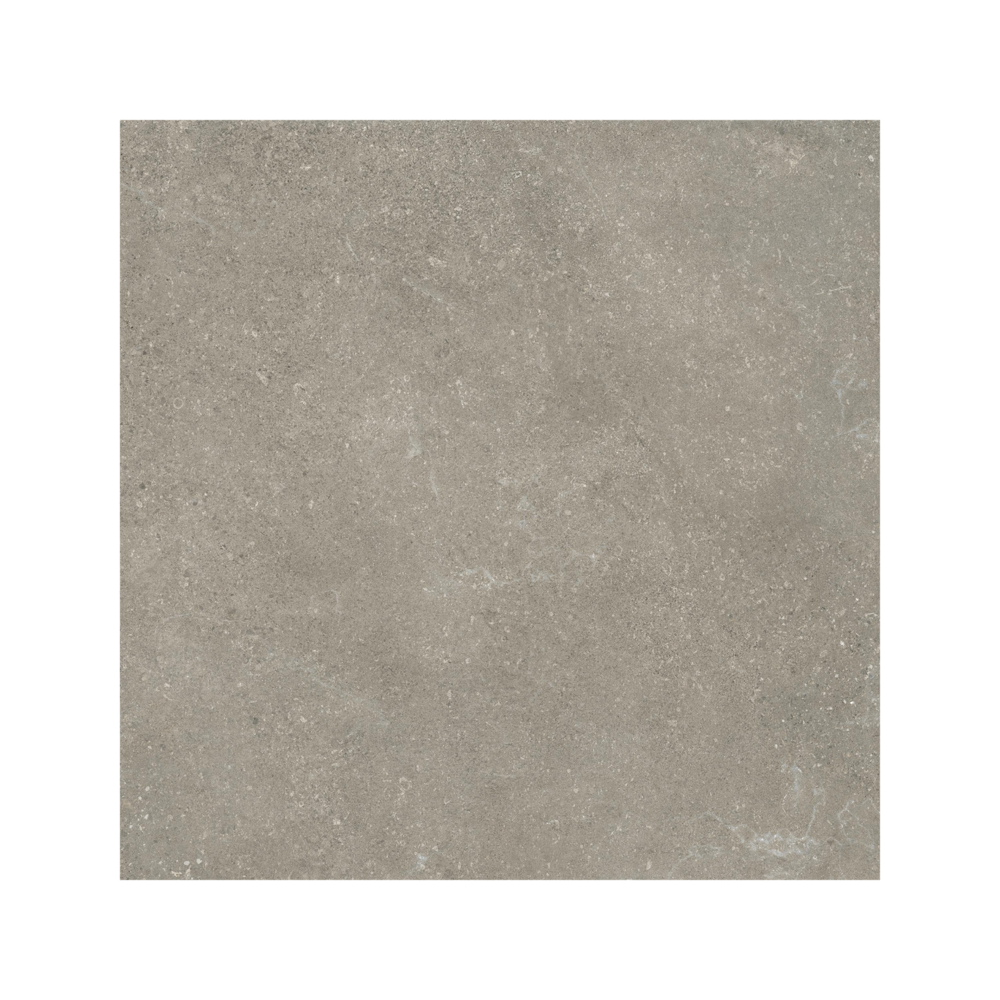 Untamed 24x24" - 20mm Stone-Look Porcelain Pavers w/ Grip Finish