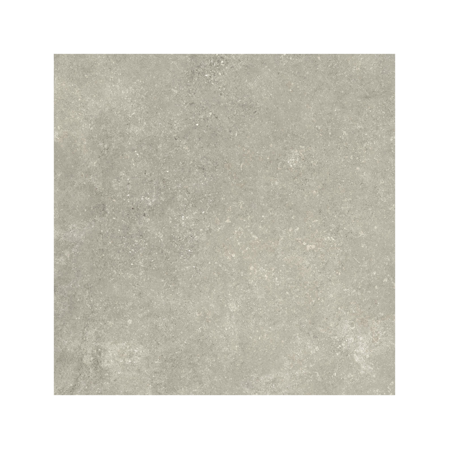 Untamed 24x24" - 20mm Stone-Look Porcelain Pavers w/ Grip Finish
