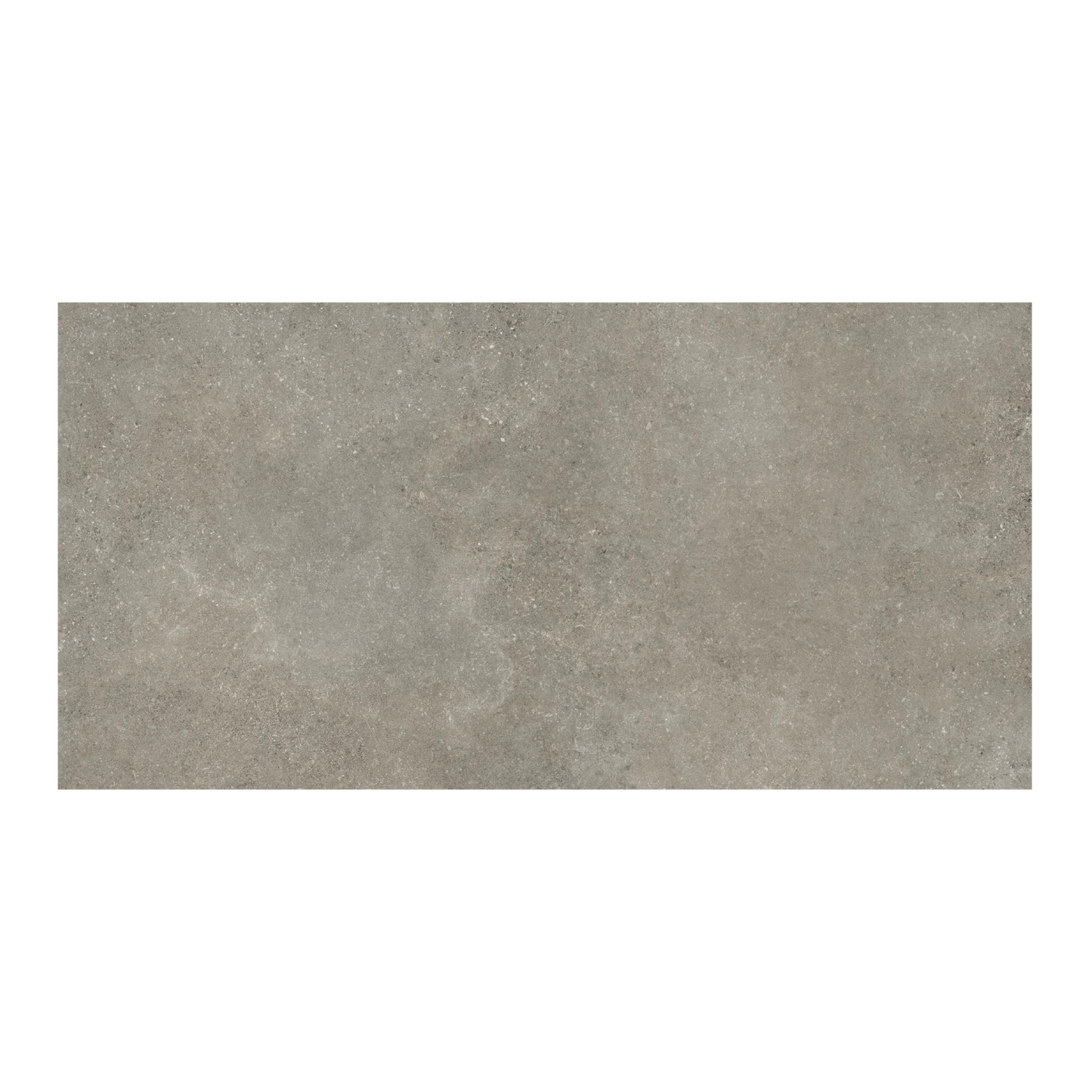 Untamed 24x48" - 8mm Matte Porcelain Floor & Wall Tile in Stone-Look