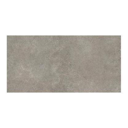 Untamed 24x48" - 8mm Matte Porcelain Floor & Wall Tile in Stone-Look