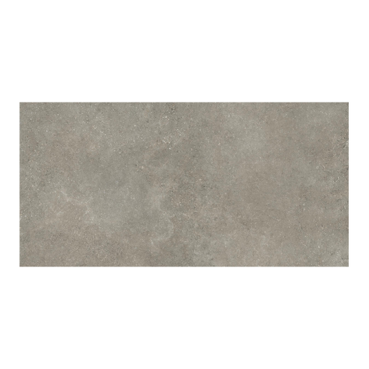 Untamed 24x48" - 8mm Matte Porcelain Floor & Wall Tile in Stone-Look