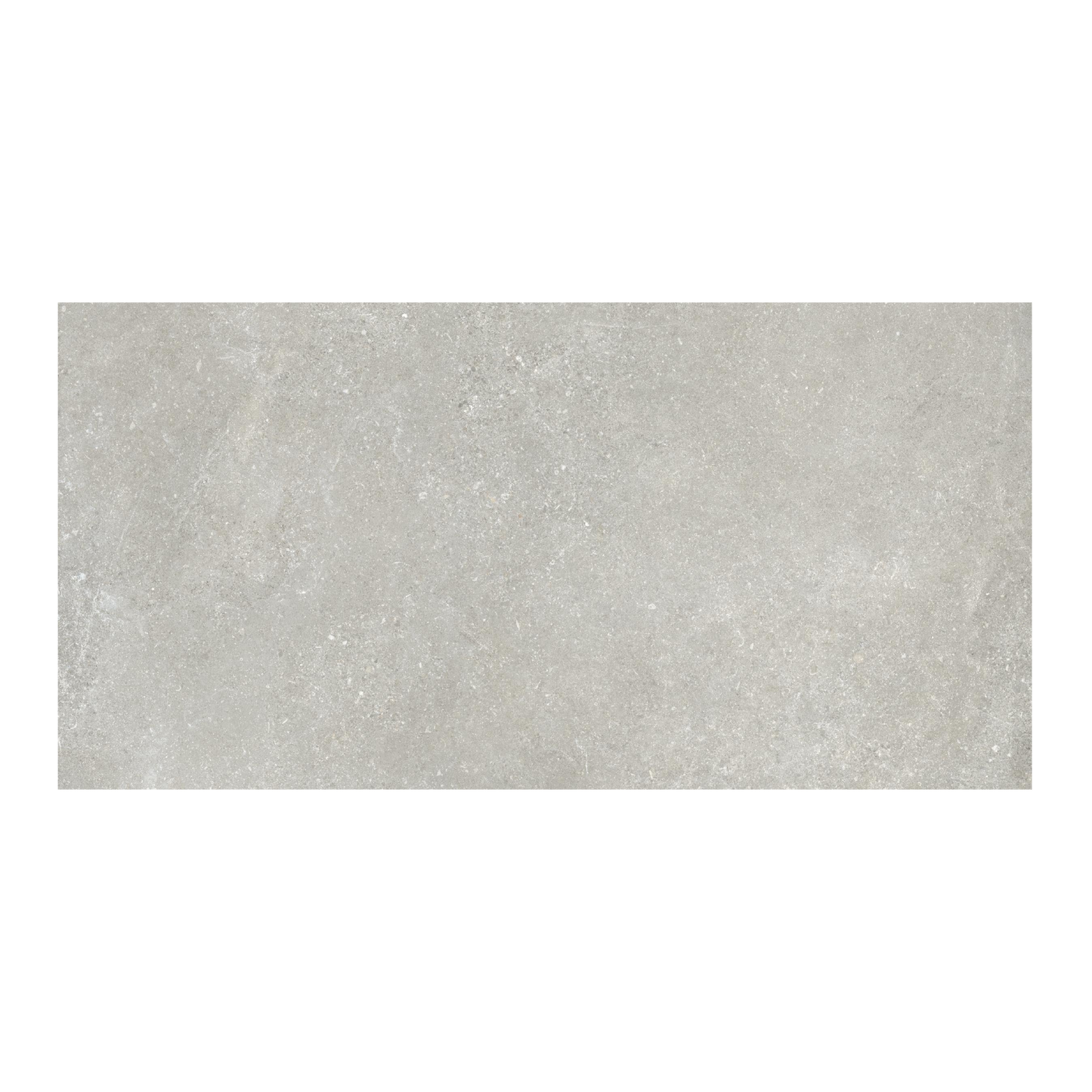 Untamed 24x48" - 8mm Matte Porcelain Floor & Wall Tile in Stone-Look