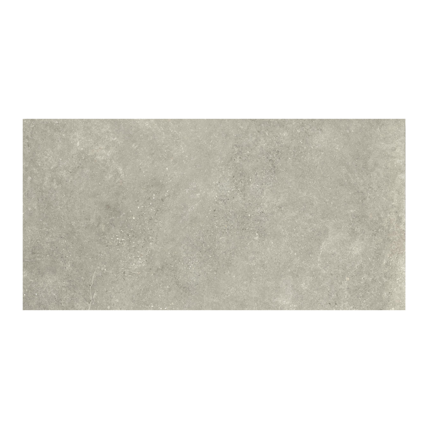 Untamed 24x48" - 8mm Matte Porcelain Floor & Wall Tile in Stone-Look