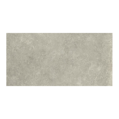 Untamed 24x48" - 8mm Matte Porcelain Floor & Wall Tile in Stone-Look