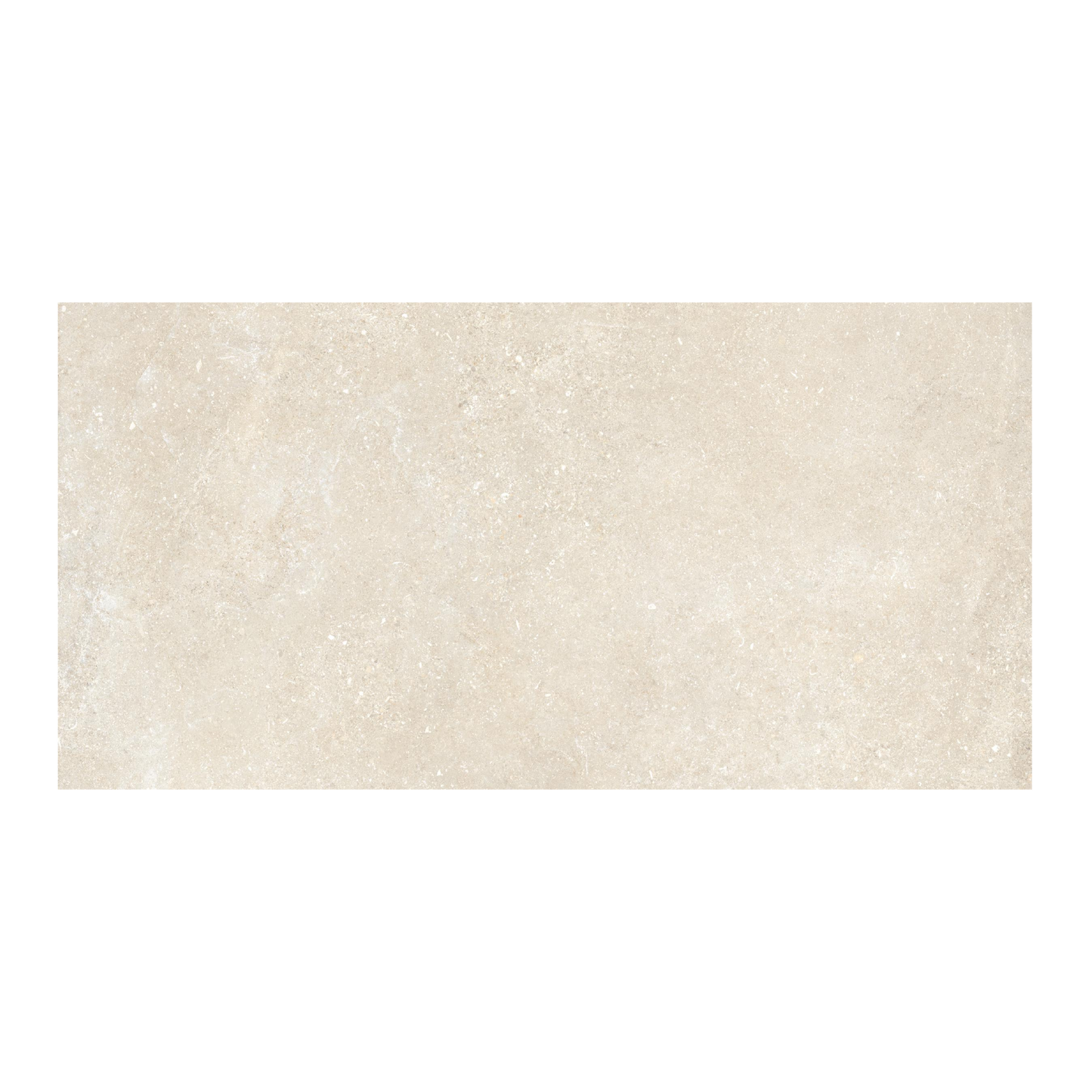 Untamed 24x48" - 8mm Matte Porcelain Floor & Wall Tile in Stone-Look