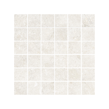 Untamed 12x12" - 8mm 2x2 Matte Porcelain Mesh Mosaic Tile