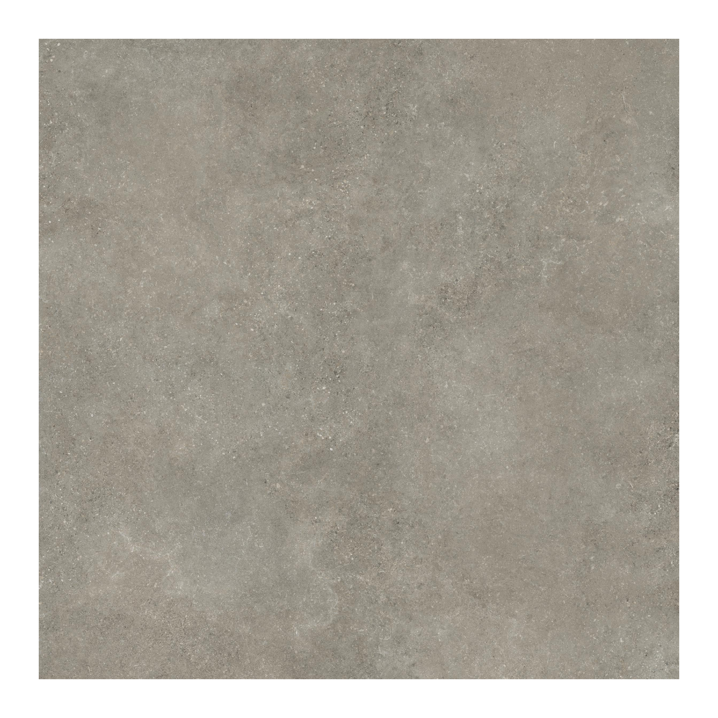 Untamed 48x48" - 8mm Matte Porcelain Floor & Wall Tile in Stone-Look