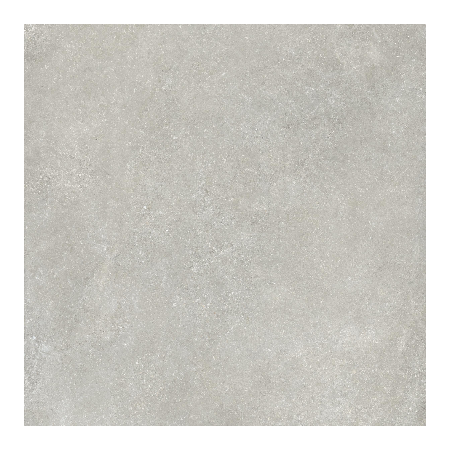 Untamed 48x48" - 8mm Matte Porcelain Floor & Wall Tile in Stone-Look