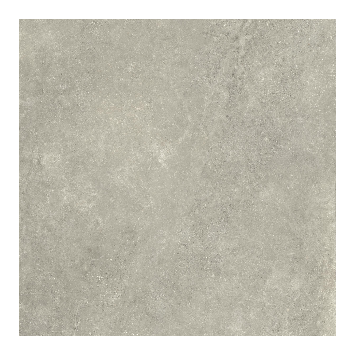 Untamed 48x48" - 8mm Matte Porcelain Floor & Wall Tile in Stone-Look