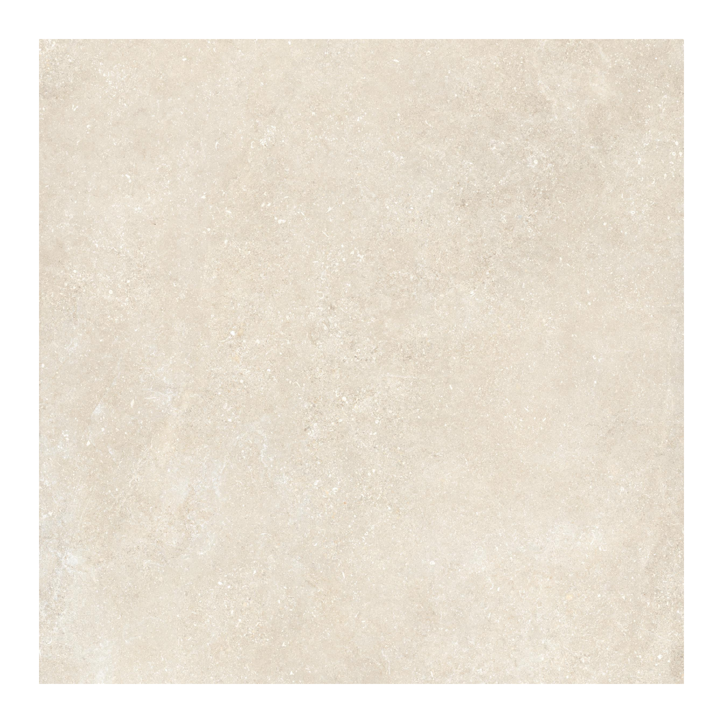 Untamed 48x48" - 8mm Matte Porcelain Floor & Wall Tile in Stone-Look