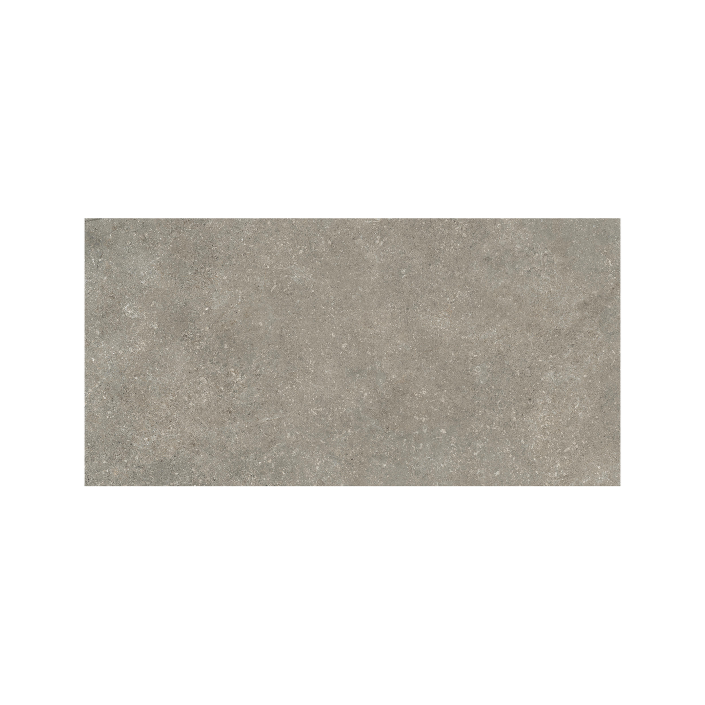 Untamed 12x24" - 8mm Matte Porcelain Floor & Wall Tile in Stone-Look