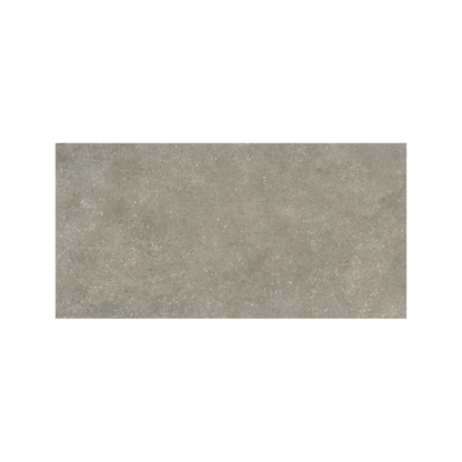 Untamed 12x24" - 8mm Matte Porcelain Floor & Wall Tile in Stone-Look