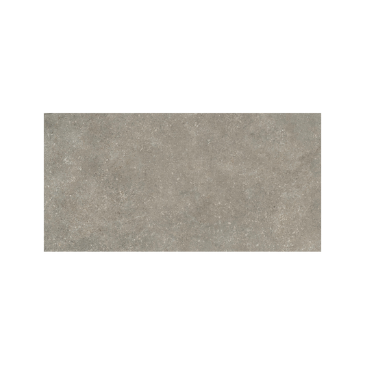 Untamed 12x24" - 8mm Matte Porcelain Floor & Wall Tile in Stone-Look