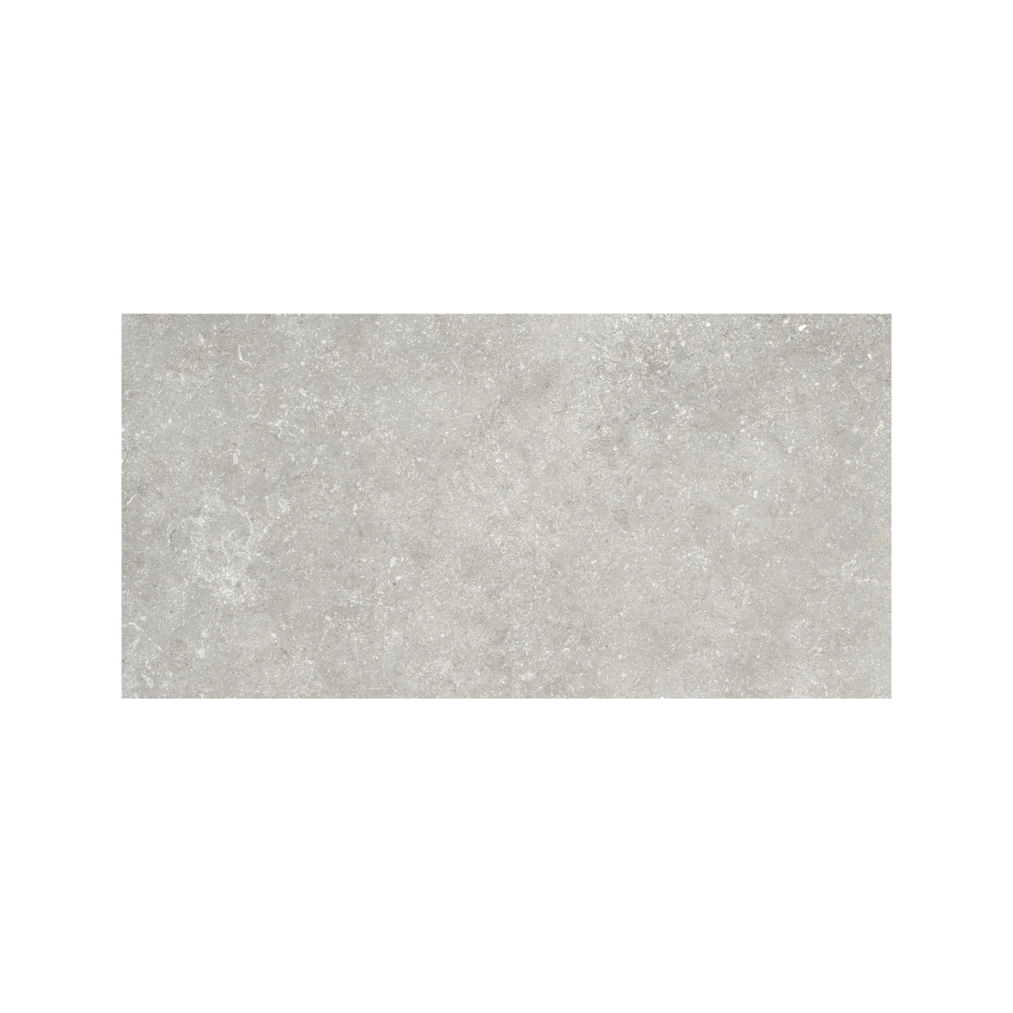 Untamed 12x24" - 8mm Matte Porcelain Floor & Wall Tile in Stone-Look