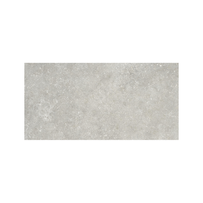 Untamed 12x24" - 8mm Matte Porcelain Floor & Wall Tile in Stone-Look