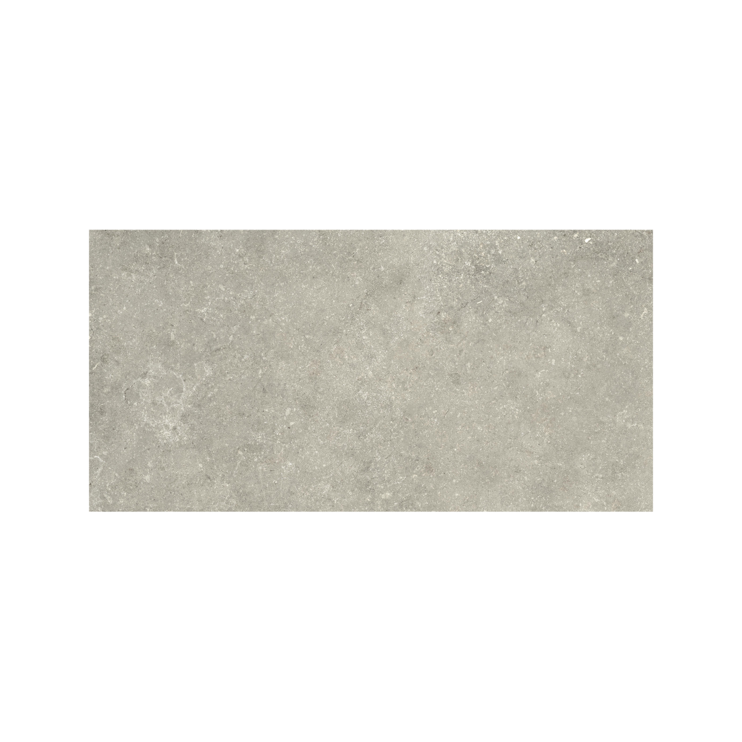 Untamed 12x24" - 8mm Matte Porcelain Floor & Wall Tile in Stone-Look