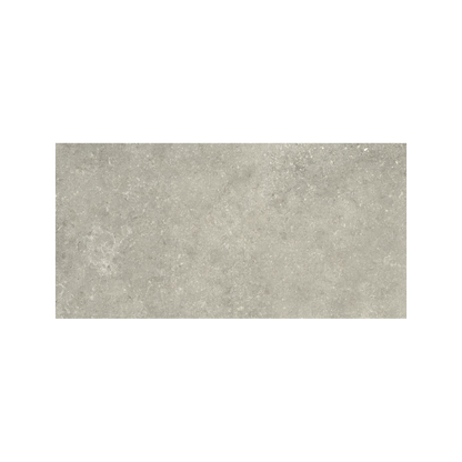 Untamed 12x24" - 8mm Matte Porcelain Floor & Wall Tile in Stone-Look