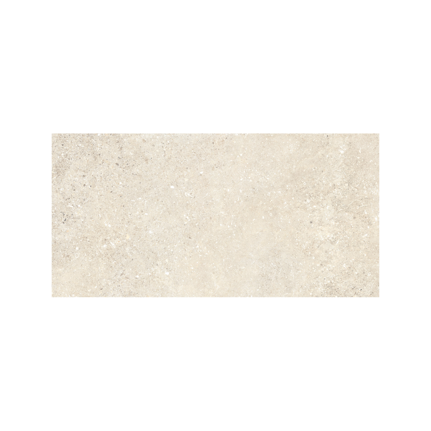 Untamed 12x24" - 8mm Matte Porcelain Floor & Wall Tile in Stone-Look