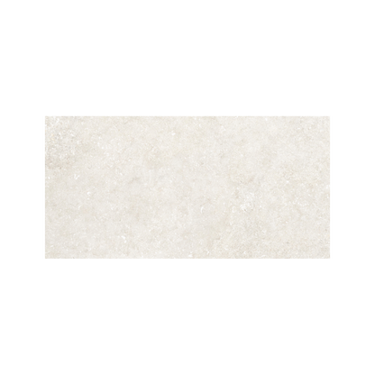 Untamed 12x24" - 8mm Matte Porcelain Floor & Wall Tile in Stone-Look